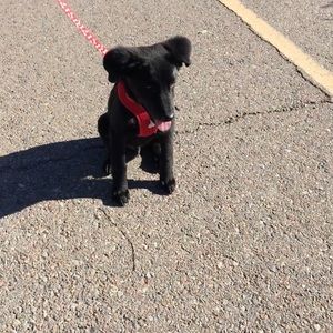 Meet your Posher, Mary